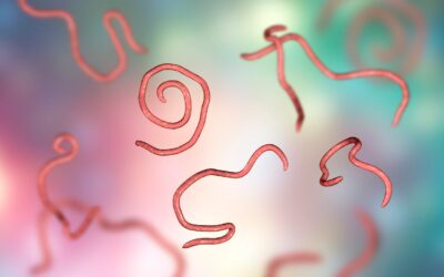 Medicina Integrativa en el Tratamiento de la Parasitosis Intestinal: Alimentos, Especias y Plantas